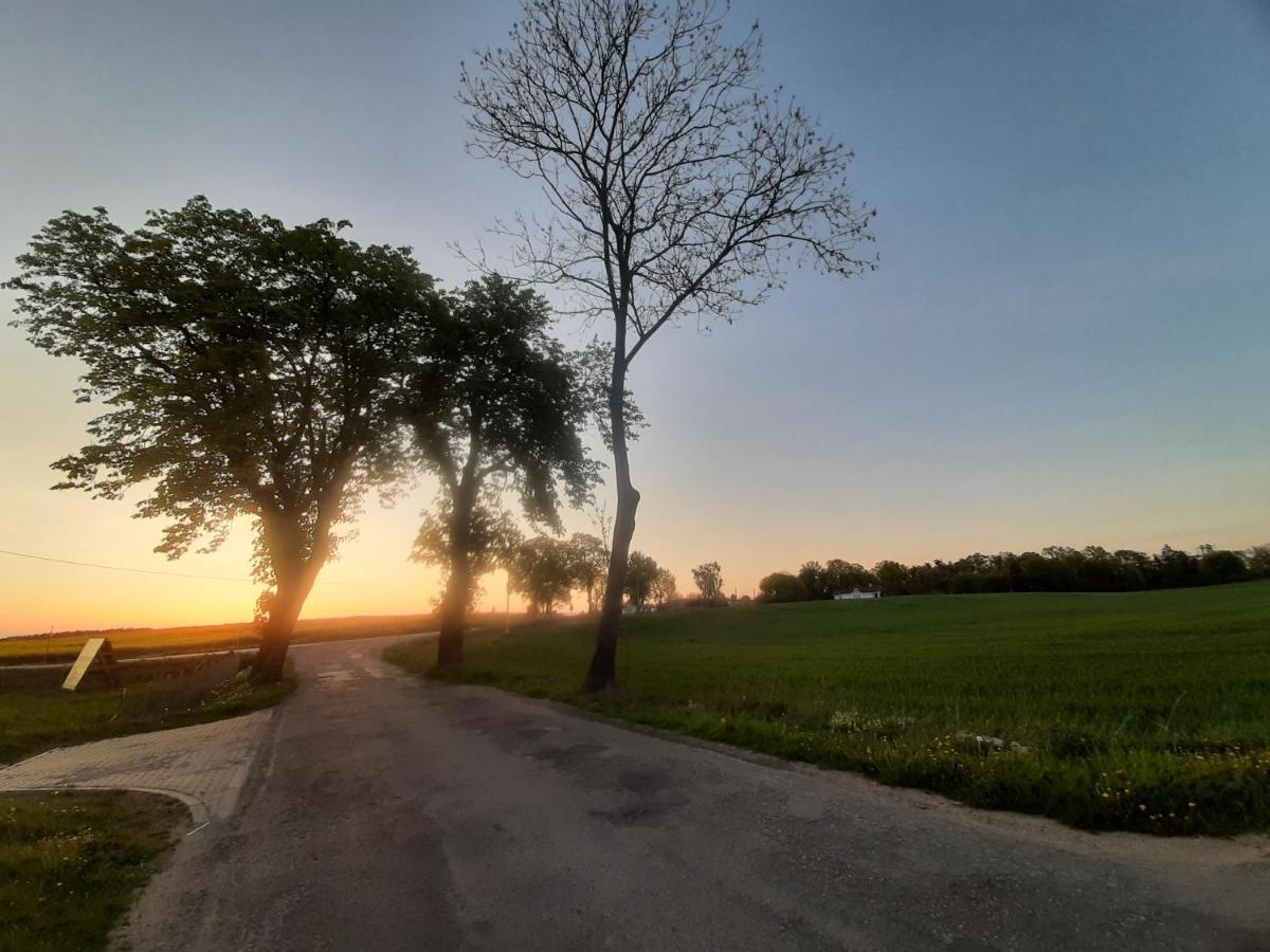 Noclegi Zdzislaw Sieradzki Zbiczno Exteriér fotografie