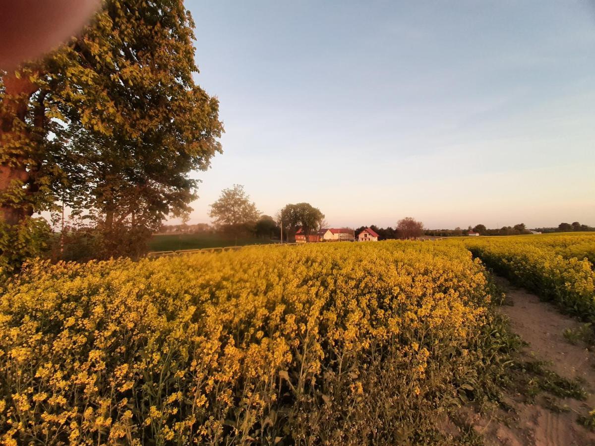 Noclegi Zdzislaw Sieradzki Zbiczno Exteriér fotografie