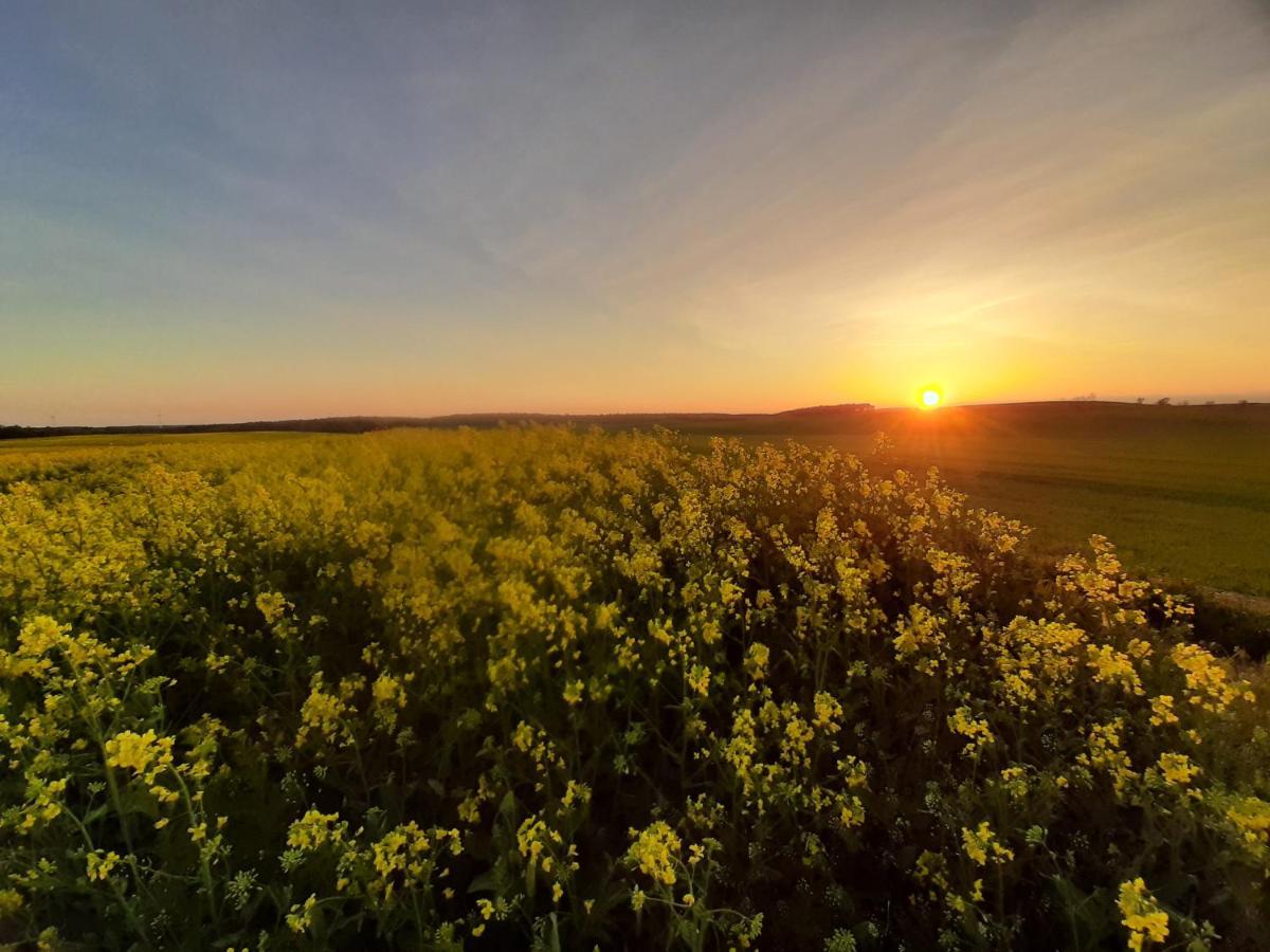 Noclegi Zdzislaw Sieradzki Zbiczno Exteriér fotografie