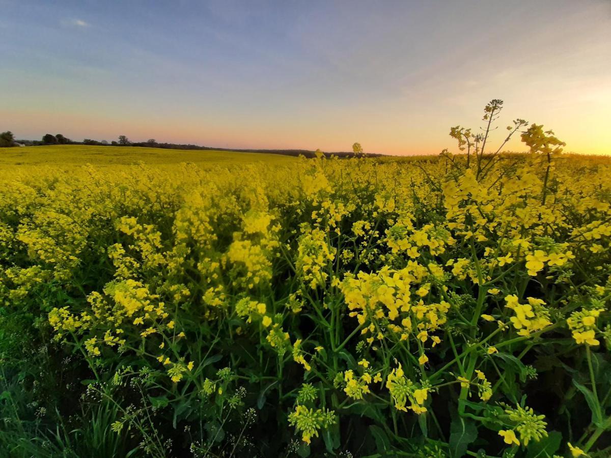 Noclegi Zdzislaw Sieradzki Zbiczno Exteriér fotografie