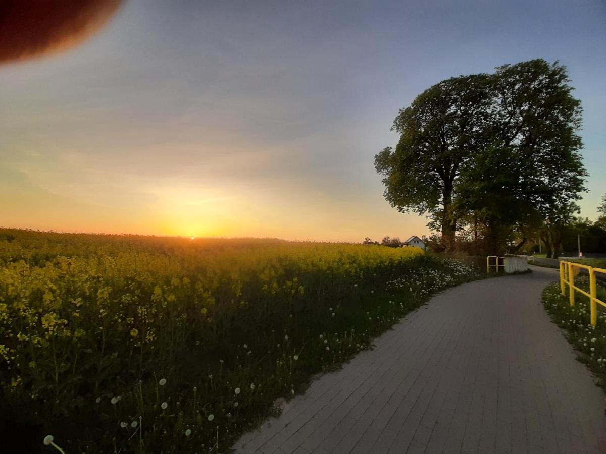 Noclegi Zdzislaw Sieradzki Zbiczno Exteriér fotografie