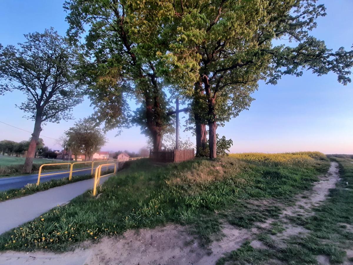 Noclegi Zdzislaw Sieradzki Zbiczno Exteriér fotografie