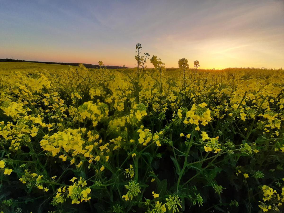 Noclegi Zdzislaw Sieradzki Zbiczno Exteriér fotografie